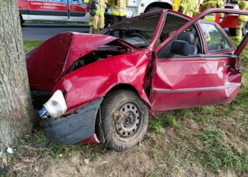 Osobówka uderzyła w drzewo