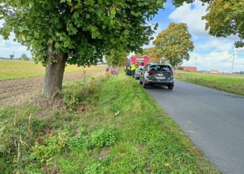 Osobówka uderzyła w drzewo