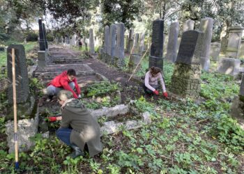 Kolejne prace na cmentarzu żydowskim