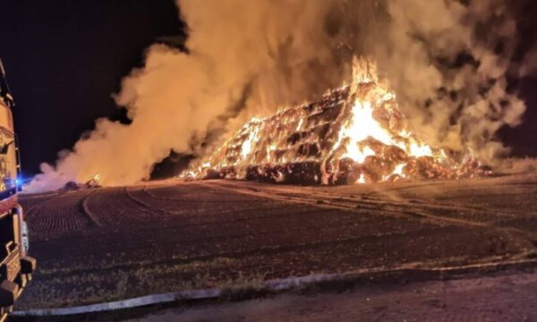 Wyznaczono nagrodę za pomoc w ujęciu podpalacza!
