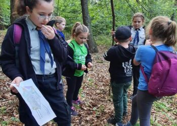 W lesie byli świetnie zorientowani