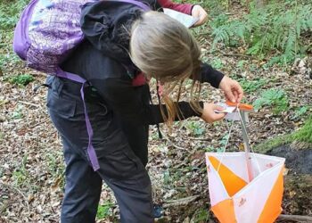 W lesie byli świetnie zorientowani