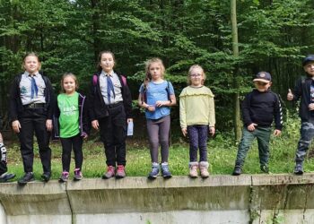 W lesie byli świetnie zorientowani