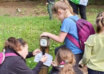 W lesie byli świetnie zorientowani