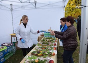 Zmagania oraczy, festiwal dyni i piknik z wieprzowiną