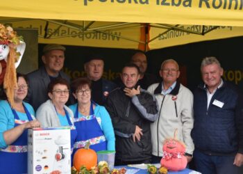 Zmagania oraczy, festiwal dyni i piknik z wieprzowiną