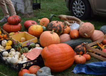 Zmagania oraczy, festiwal dyni i piknik z wieprzowiną