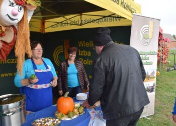 Zmagania oraczy, festiwal dyni i piknik z wieprzowiną