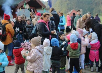 Zbierali śmieci i sadzili drzewa