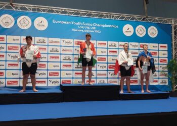 Medale na mistrzostwach Europy