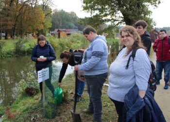 Zbierali śmieci i sadzili drzewa