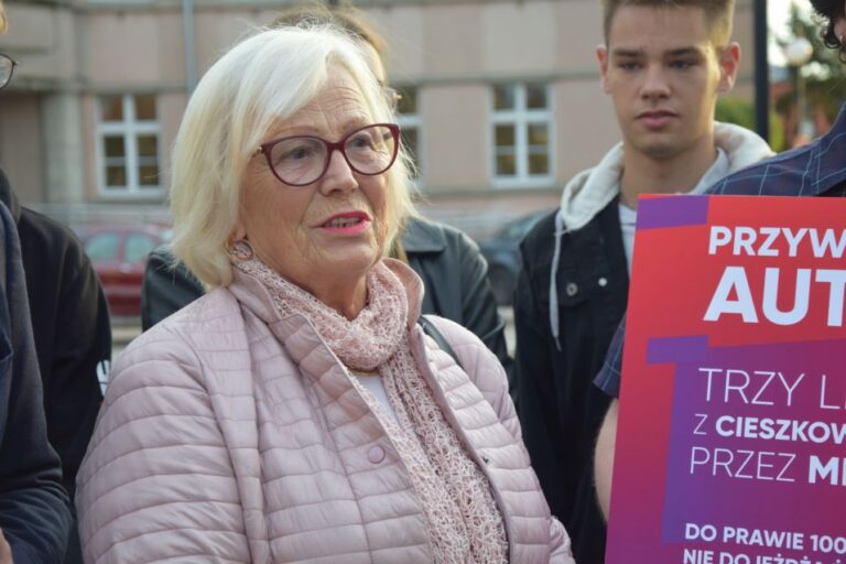 Problem wykluczenia komunikacyjnego