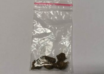 19-latek odpowie za posiadanie marihuany