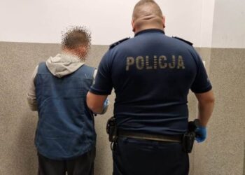 Dwaj poszukiwani już w areszcie