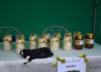 Przedsmak świąt Bożego Narodzenia