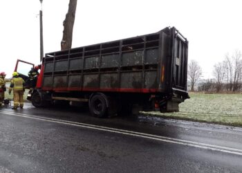 Samochód ciężarowy uderzył w drzewo