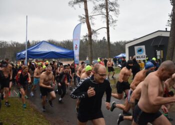 W powiecie milickim uzbierano ponad 116 tysięcy złotych!