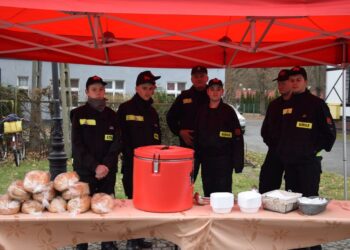 Królewski orszak w Miliczu