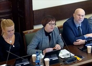 Radni odrzucili petycję w sprawie Konstytucji Marcowej