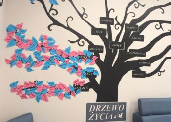 Drzewo Narodzin w szpitalu
