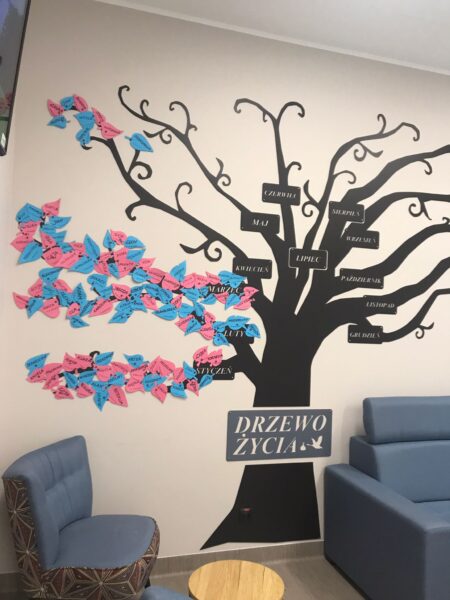 Drzewo Narodzin w szpitalu