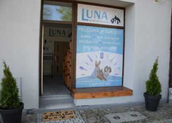 Zadbaj o swojego pupila!