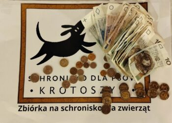 Kurkowe Bractwo Strzeleckie wspiera schronisko dla zwierząt