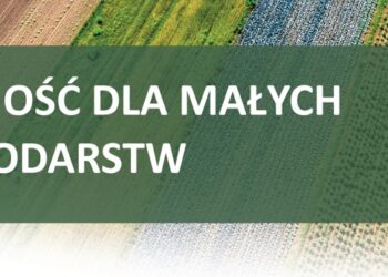 Czas na składanie wniosków