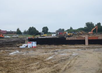 Wegańskie kebaby dla wymagających