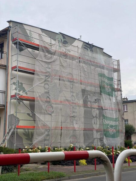 Wizerunek noblistki ozdobi nasze miasto