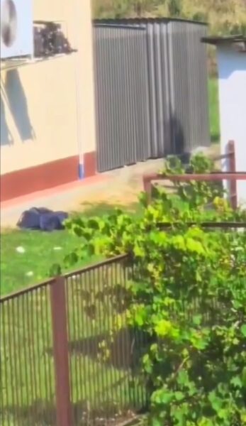 Nieletni dopuścił się kradzieży