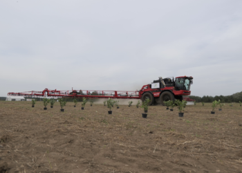 Agro Integracja w Bednarach