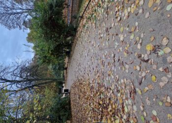 Park w nowej odsłonie