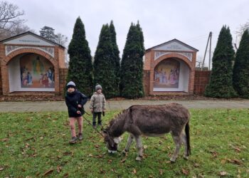 Świąteczna radość w Borzęciczkach