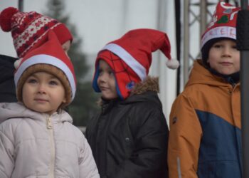 Bożonarodzeniowy jarmark z Lions Clubem