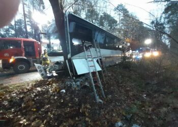 Autobus uderzył w drzewo