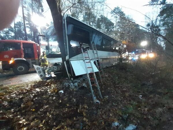 Autobus uderzył w drzewo