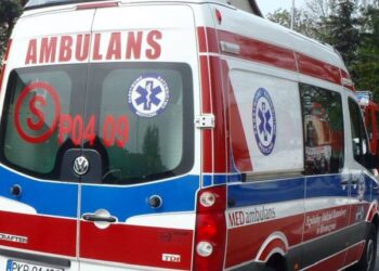 Zjechał z drogi i uderzył w drzewo