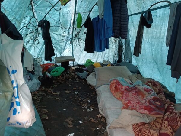 Kolejne interwencje w ramach akcji ZIMA