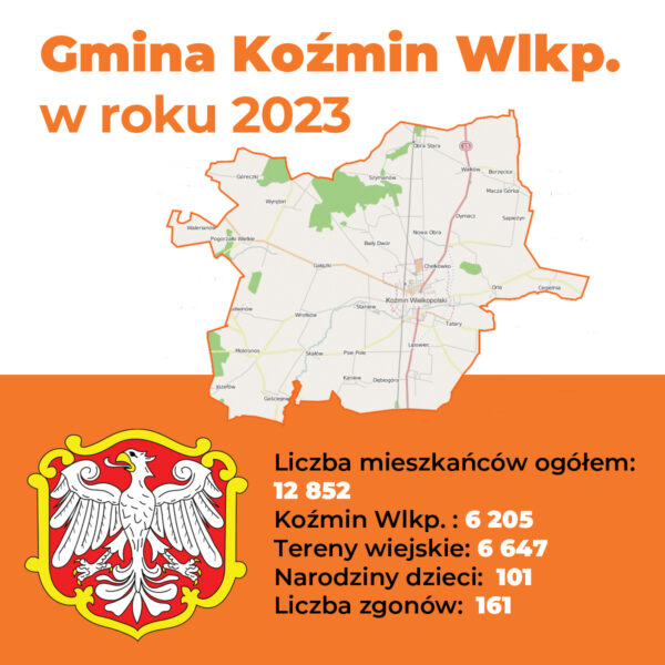 Społeczeństwo gminy Koźmin Wlkp. w liczbach