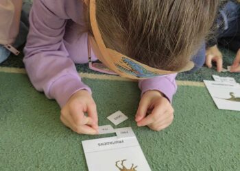 Dzień Dinozaura w Mokronosie