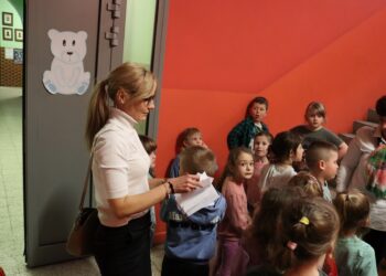 Bogata oferta zajęć