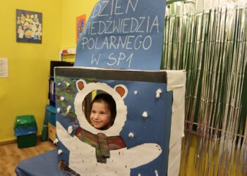 Bogata oferta zajęć