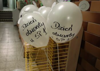 Bogata oferta zajęć