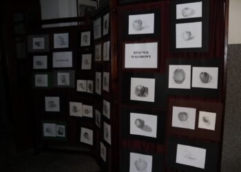 Bogata oferta zajęć