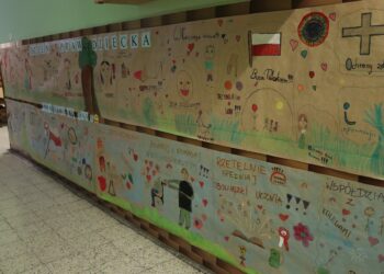 Bogata oferta zajęć