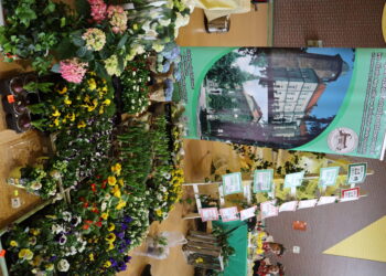 Niedziela pełna atrakcji