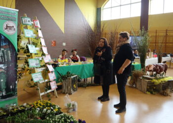 Niedziela pełna atrakcji