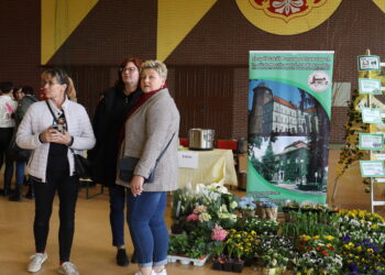 Niedziela pełna atrakcji