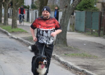 W hołdzie bohaterom